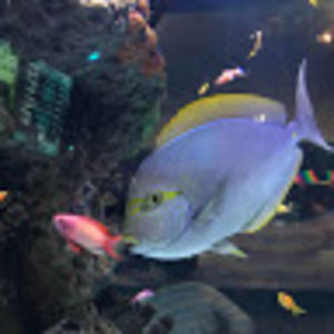 Meet your Posher, Eric